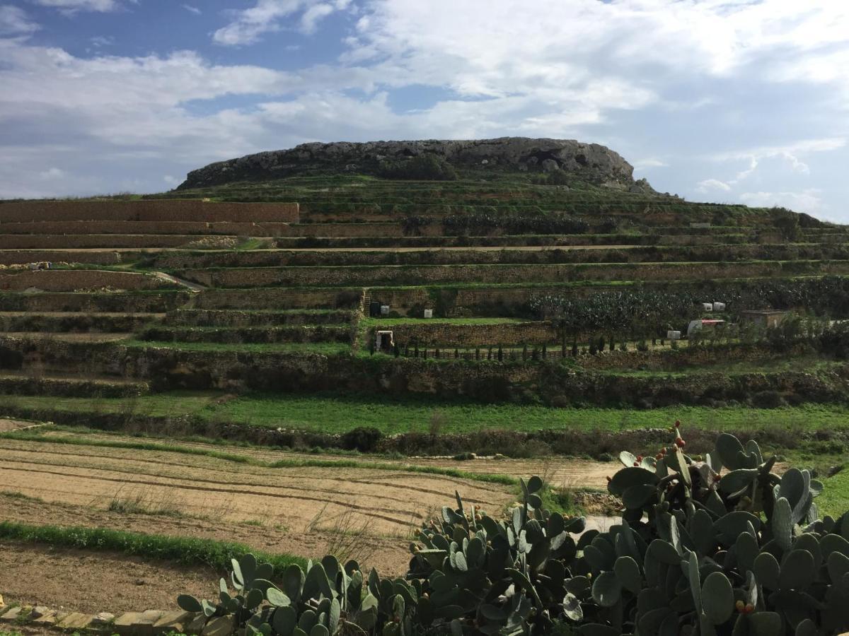 Gozo Dwejra Views Lejlighed San Lawrenz Eksteriør billede